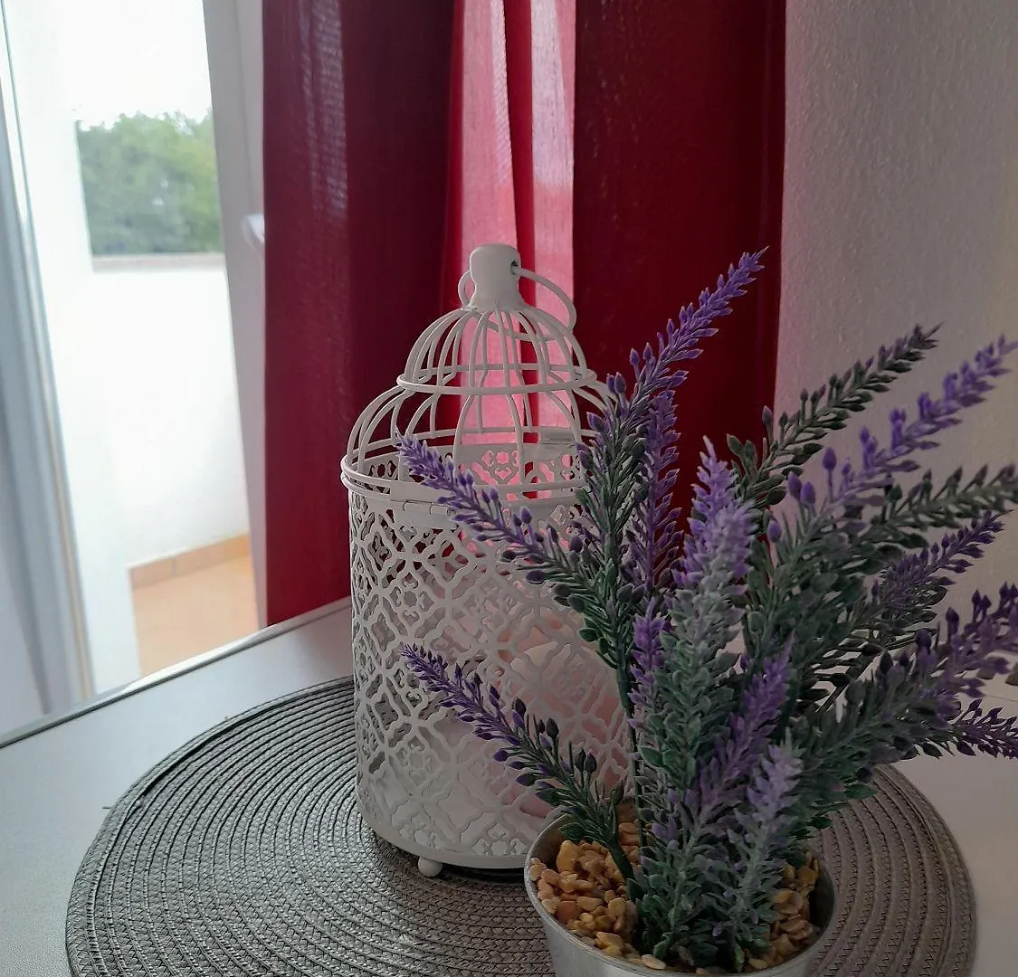 Bezauberndes Apartment In Rovinj Nur 500 Meter Zum Strand Mit Privatem Balkon